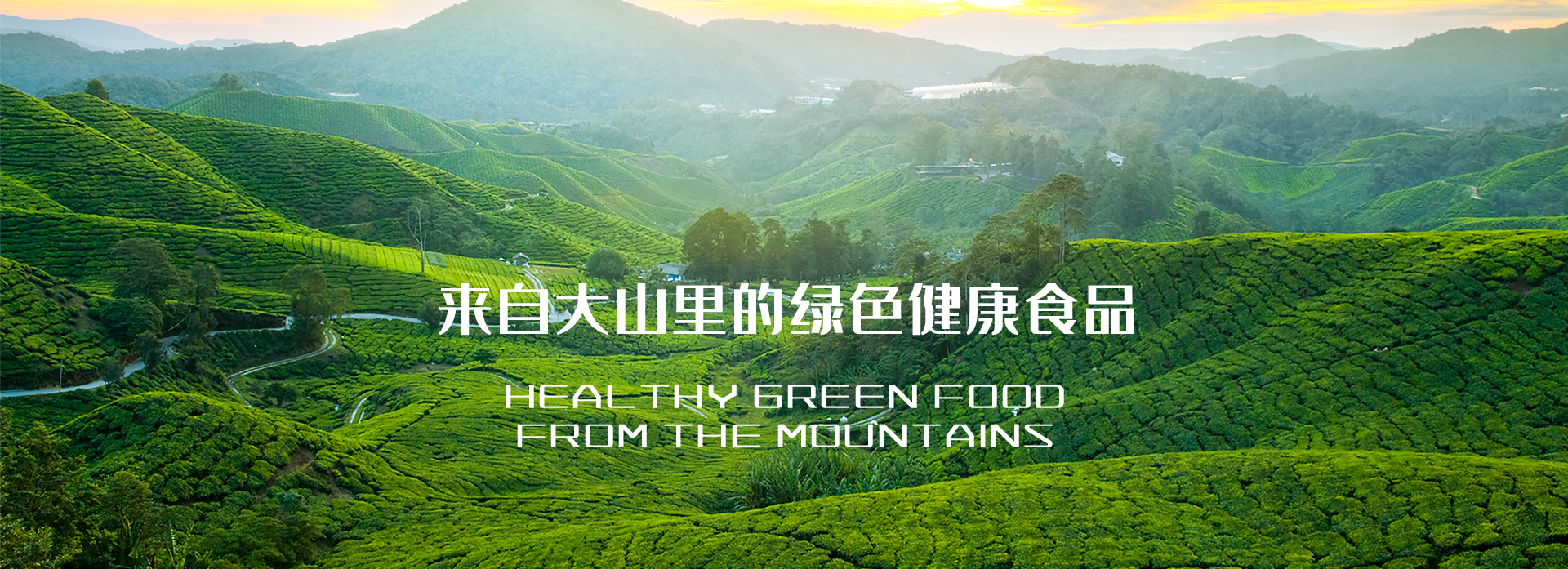 尊龙凯时集团,尊龙凯时本草,尊龙凯时本草农业集团